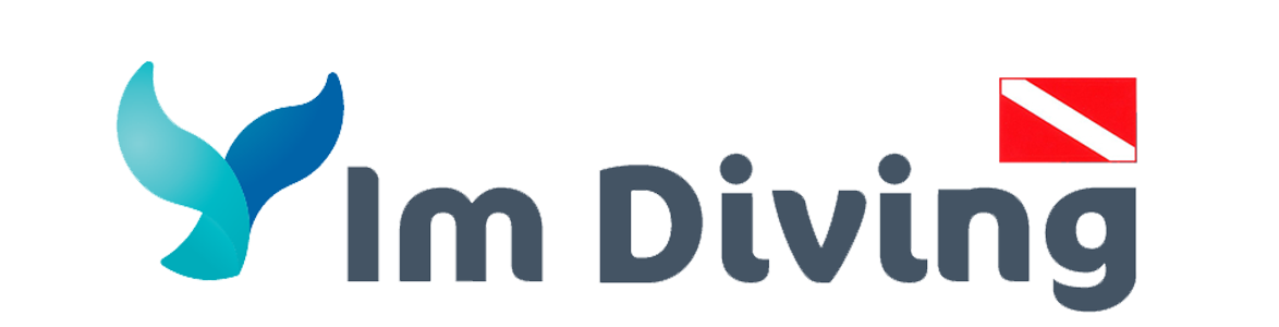 novelty-logo