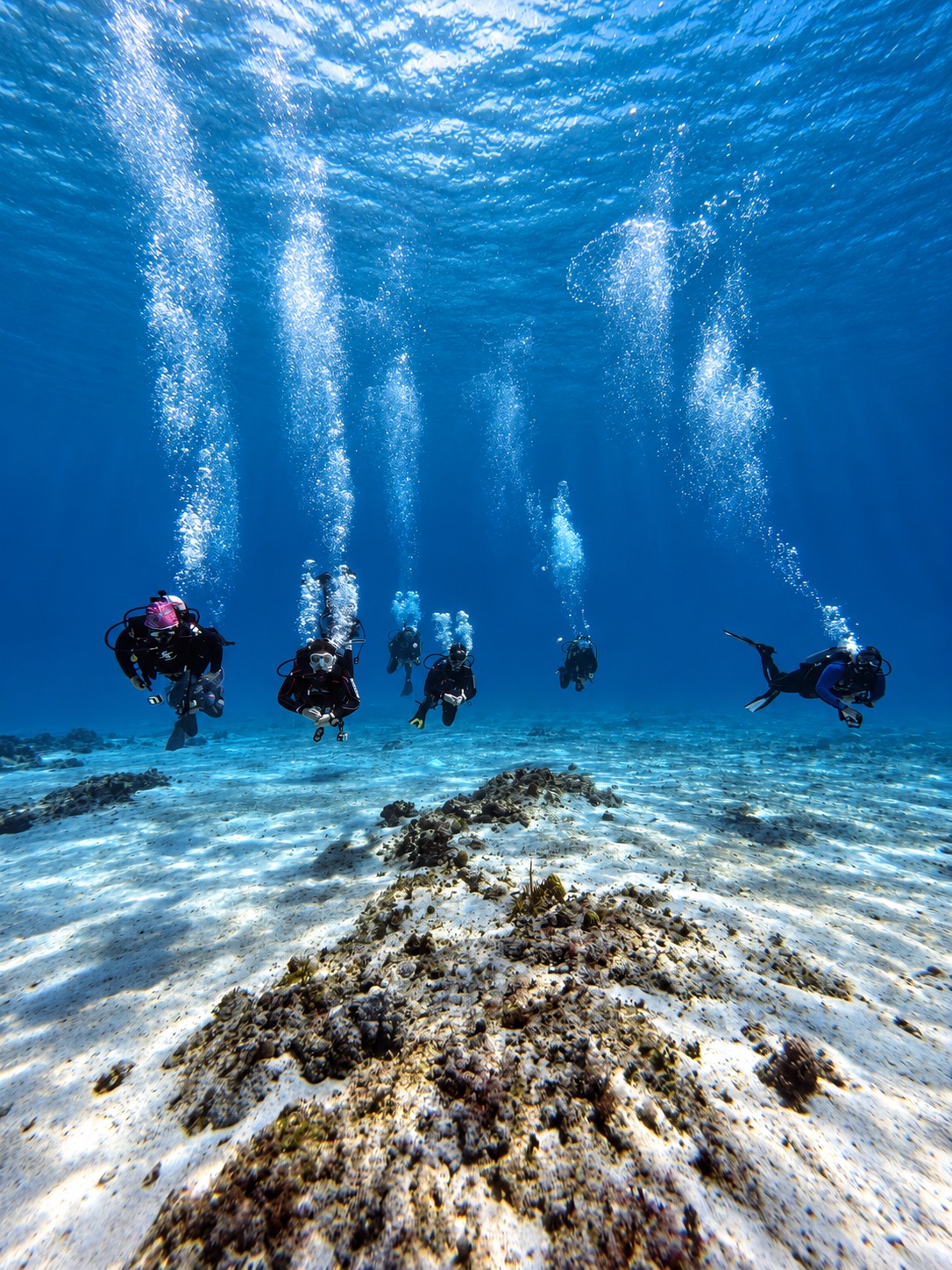 Actualización de buceo: una experiencia de buceo de IM Diving