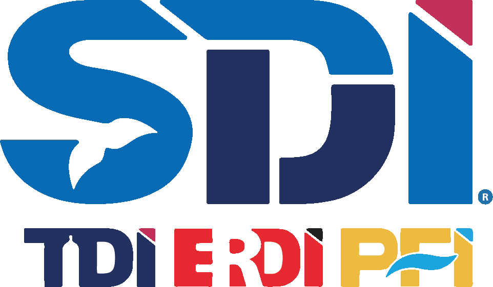 Logo oficial SDI, TDI, ERDI y PFI