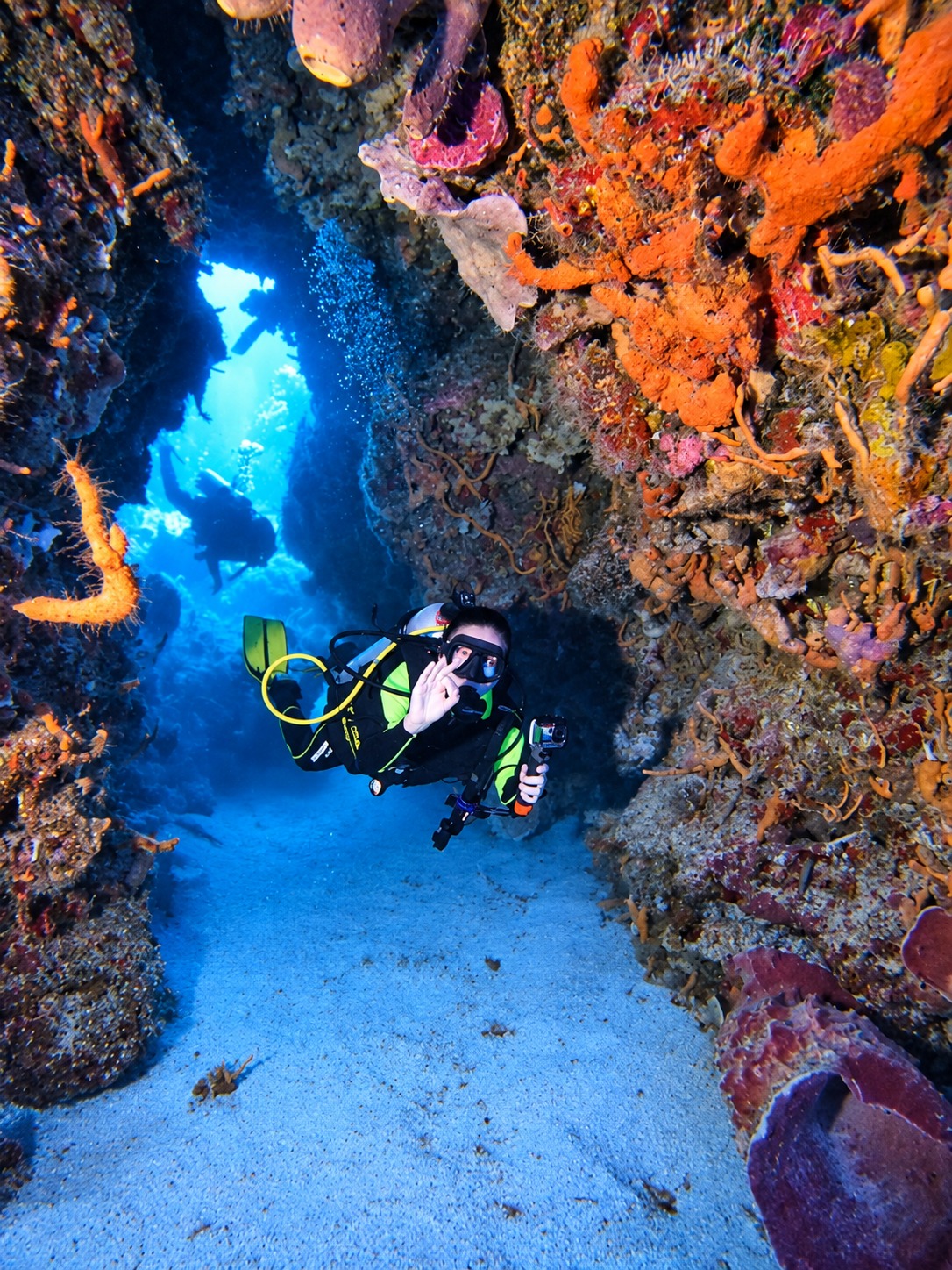 Buzo dentro de una cueva con vida marina